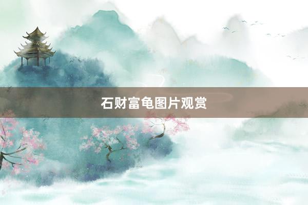 石财富龟图片观赏