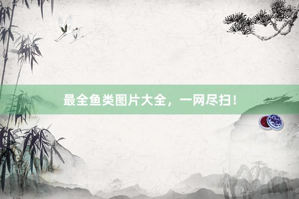 最全鱼类图片大全，一网尽扫！