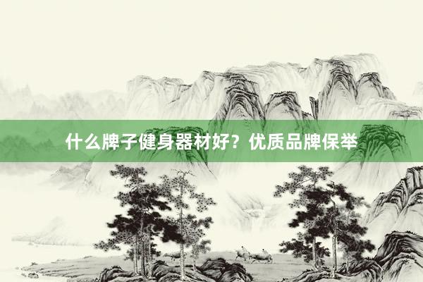 什么牌子健身器材好？优质品牌保举