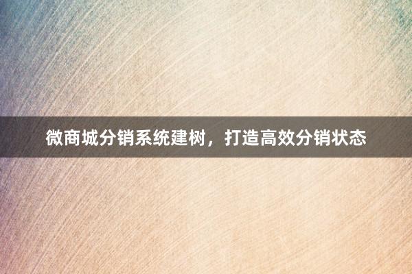 微商城分销系统建树，打造高效分销状态