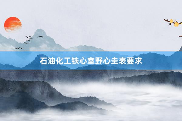 石油化工铁心室野心圭表要求