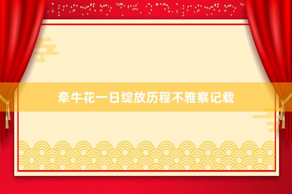 牵牛花一日绽放历程不雅察记载