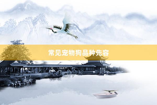 常见宠物狗品种先容