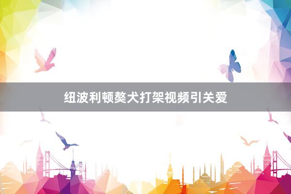 纽波利顿獒犬打架视频引关爱